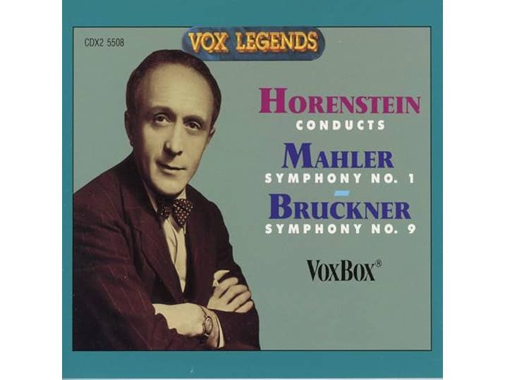 Vienna Symphony Orchestra - Symphony No. 1/Symphony No. 9 (Orig