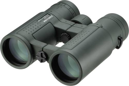 Eschenbach Fernglas Sektor compact+ 10x42 B 10 x 42mm Dunkelgrün 4251142
