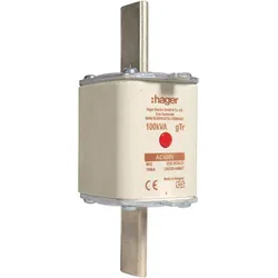 Hager LNH20144M4T NH-Sicherungseinsatz NH2 gTr 400V 144A Mittenmelder Grifflasche spannungsführend