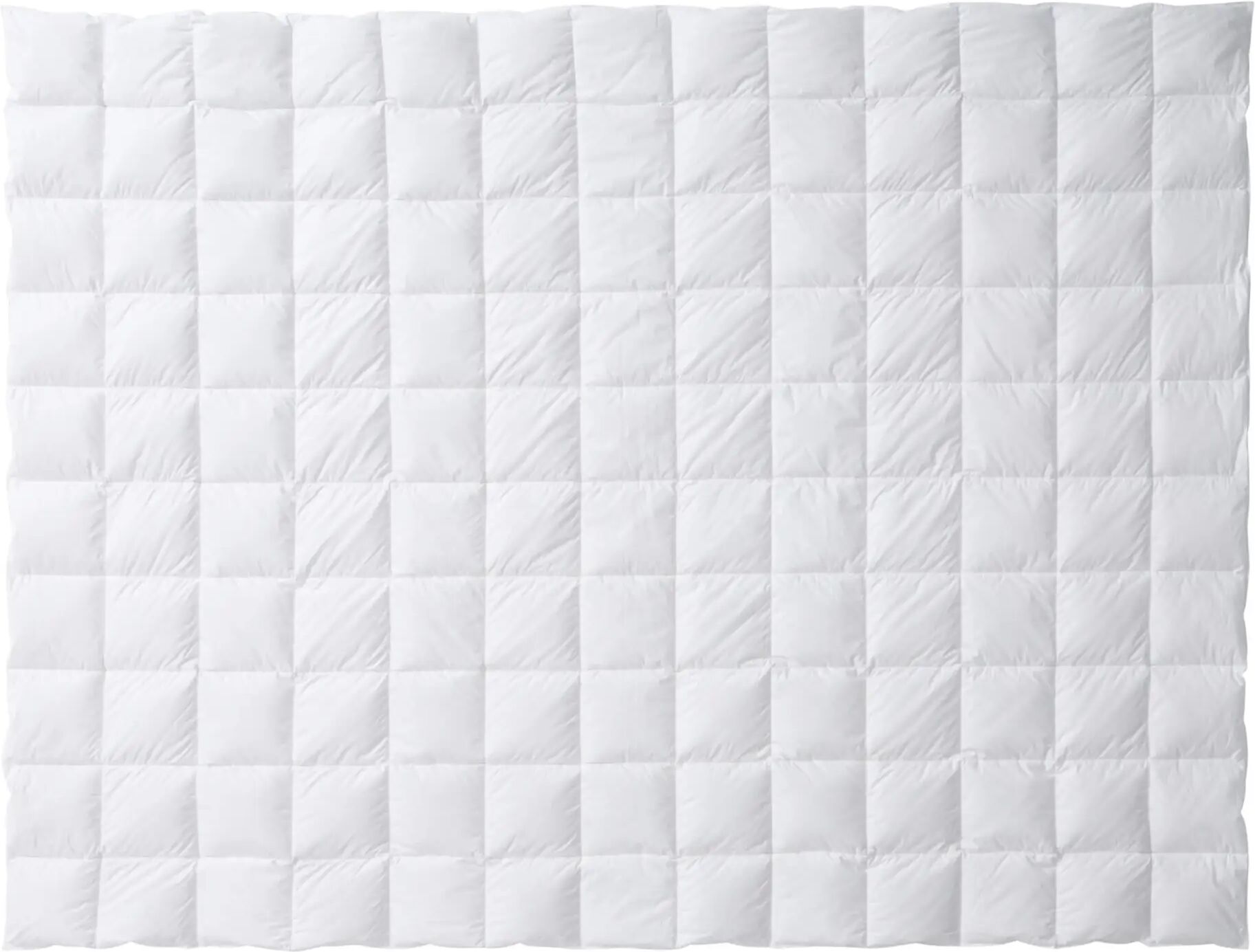 billerbeck Lugano 100  Weiss