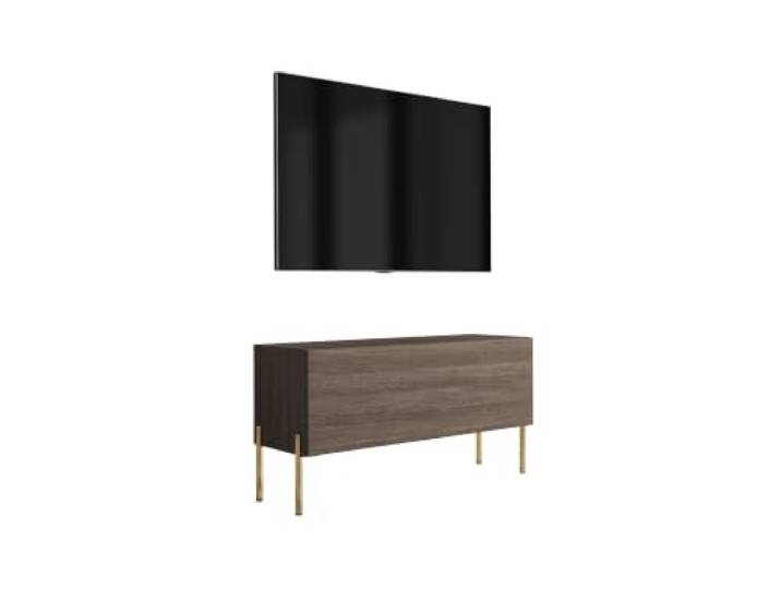 3xE Living TV-Lowboard mit Beinen 100 cm, 1 Tür, Eiche Dunin, goldene Beine, 100 x 32 x 52 cm