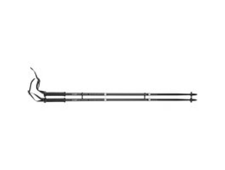 CRIVIT Lot de 2 bâtons de trekking (Noir)