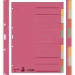 Leitz 4359-00-00 4359 Register - Karton, blanko, A4, 10 Blatt, farbig