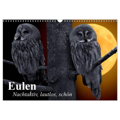 Eulen. Nachtaktiv, lautlos, schön (Wandkalender 2026 DIN A3 quer), CALVENDO Monatskalender