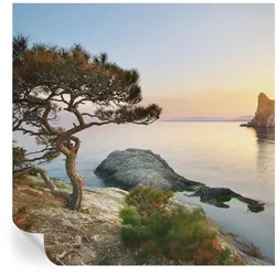 FOTOTAPETE 250x250 cm - Friedliche Natur