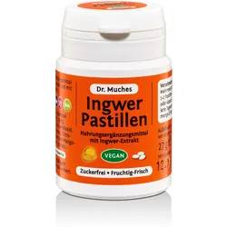 Ingwerpastillen Dr. Muches Zuckerfrei 27 G