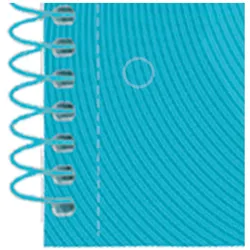 4x Oxford, Heft + Block, European Book (A4+, Kariert, Harter Einband)