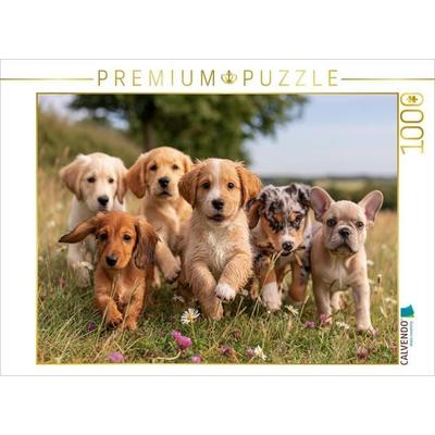 CALVENDO Puzzle Ein Motiv aus dem Kalender Herzklopfen auf vier Pfoden | 1000 Teile Lege-Größe 64 × 48 cm Foto-Puzzle für glückliche Stunden, von ,