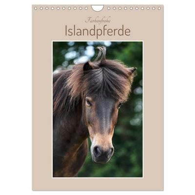 Farbenfrohe Islandpferde (Wandkalender 2027 DIN A4 hoch), CALVENDO Monatskalender