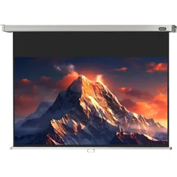 Celexon Rollo Professional Pro (105", 16:9), Leinwand, Weiss