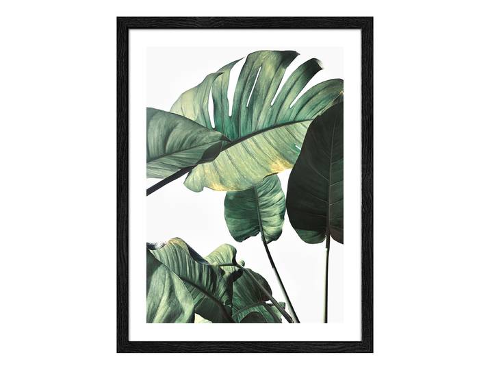 Holzbild Jungle Leaves Typ A Floatglas, MDF Grün/Weiß 33 x 43 x 1cm