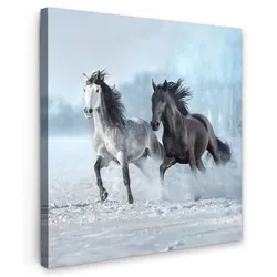 LEINWANDBILD Pferde - Winter - Tiere - Natur - Schnee Wandbild Wohnzimmer 50x50 cm