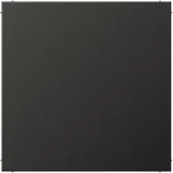 Jung Blind-Abdeckung anth AL 2994 B AN