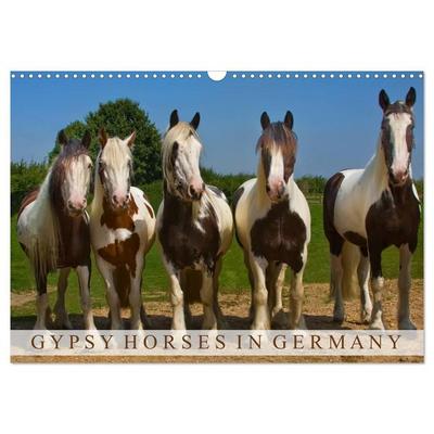 Gypsy Horses (Wandkalender 2027 DIN A3 quer), CALVENDO Monatskalender