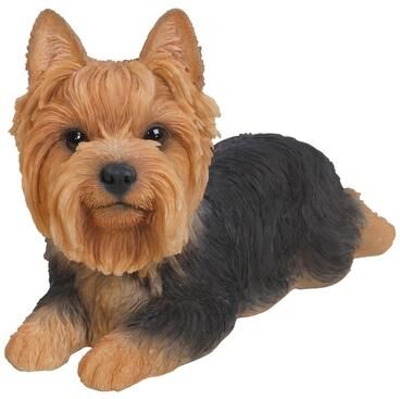 Hi-Line Gift Ltd. Yorkshire Terrier Lying Down