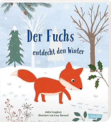 Anita Loughrey - Der Fuchs entdeckt den Winter: Pappbilderbuch ab 2 mit kleinem Fuchs, der Angst überwindet und etwas über den Winter lernt - Preis vom 01.10.2026 17:08:56 h