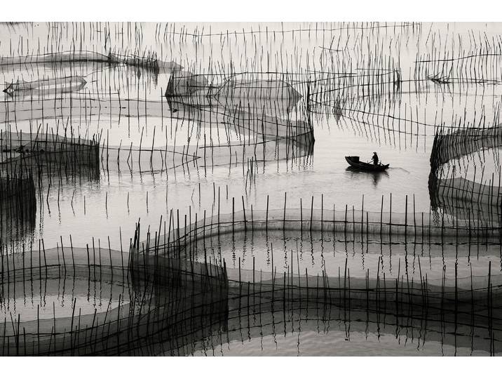 Fototapete PAPERMOON Photo-Art AHMED ABDULAZIM, WARTEN AUF DEN HAKEN , bunt, B:4,5m L:2,8m, Vlies, Tapeten, Fototapete