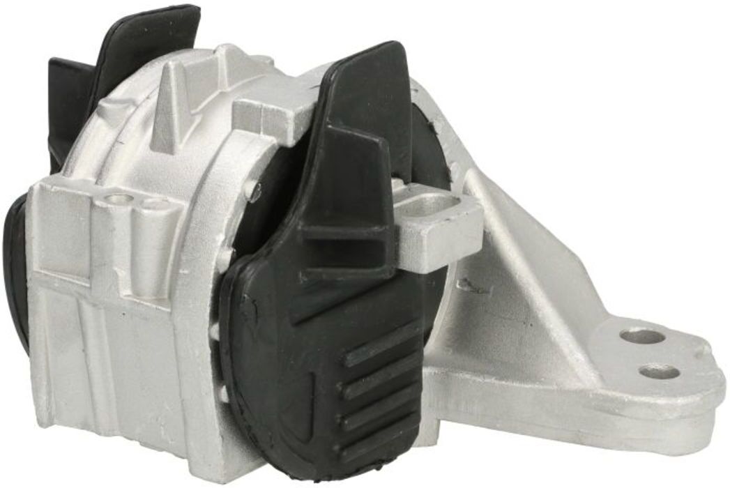 Halter, Motoraufhängung REINHOCH RH11-2216