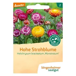 Bingenheimer Saatgut Hohe Strohblume demeter