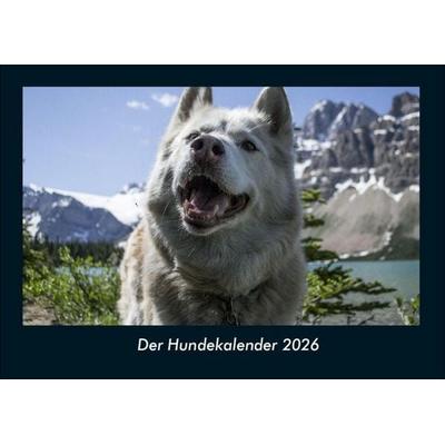 Der Hundekalender 2026 Fotokalender DIN A4