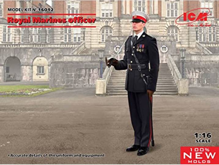 Icm - royal marines officer