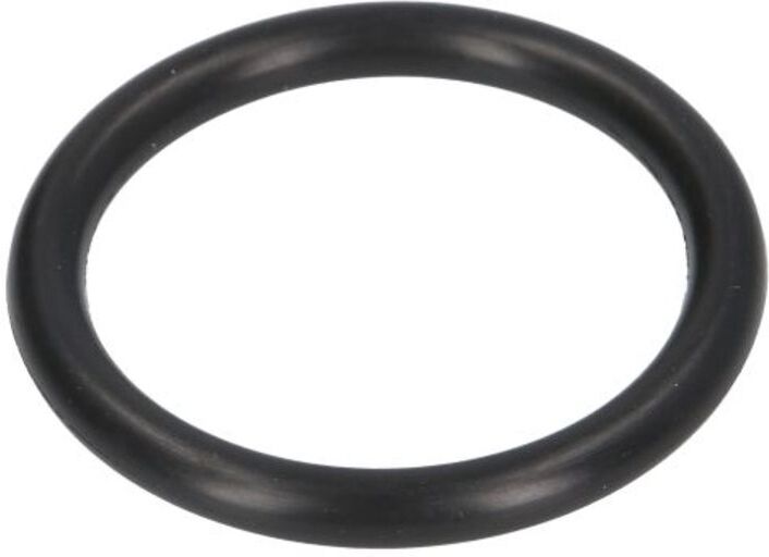 Evert Guarnizione O-ring (40x5,3) per martinetti ZL207101023