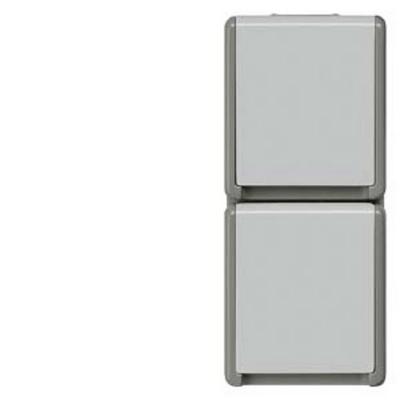 Siemens Schalterprogramm 2fach Grau 5UB4723 1St.