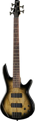 Ibanez GSR205SM-NGT Natural Gray Burst