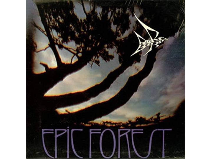 Rare Bird - Epic Forest