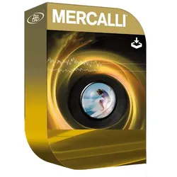 ProDAD Mercalli Easy Bildstabilisierung
