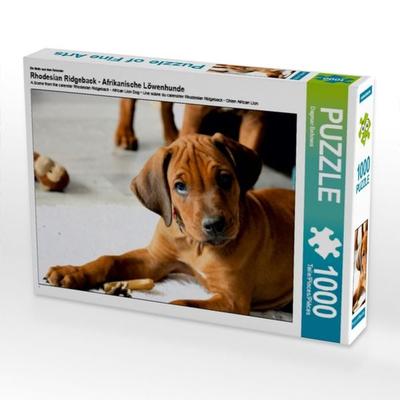 CALVENDO Puzzle Rhodesian Ridgeback Rüde | 1000 Teile Lege-Größe 64x48cm Foto-Puzzle für glückliche Stunden