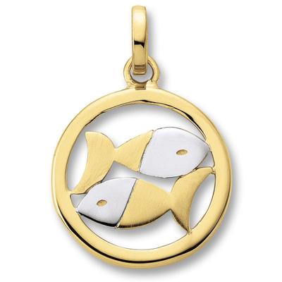 Sternzeichenanhänger ONE ELEMENT "Sternzeichen Anhänger aus 333 Gelbgold", gold, Schmuckanhänger, Damen, Fische im Setmit Halskette, Steinbock, Gelbgold 333 Gold, Gelbgold 333, Gold, Symbol mit Herz – ein feines Geschenk für viele Anlässe