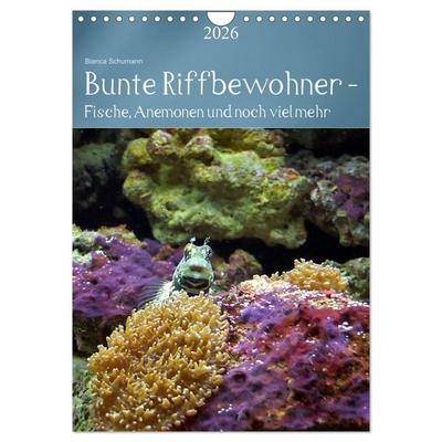 Bunte Riffbewohner - Fische, Anemonen und noch viel mehr (Wandkalender 2026 DIN A4 hoch), CALVENDO Monatskalender