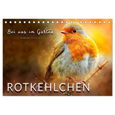 Bei uns im Garten - Rotkehlchen (Tischkalender 2027 DIN A5 quer), CALVENDO Monatskalender