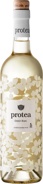 Protea Chenin Blanc 2025 - Anthonij Rupert -  - Weisswein - 0.75L Western Cape
