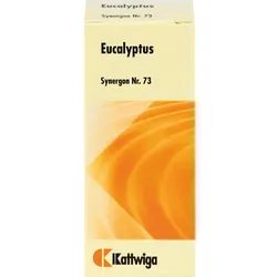 Synergon Kompl Eucalypt 73 50 ML