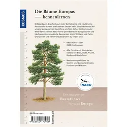 Der Kosmos-Baumführer Europa, Ratgeber von Roland Spohn, Margot Spohn