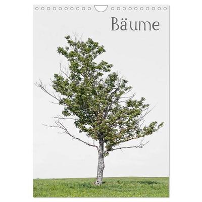 Bäume (Wandkalender 2026 DIN A4 hoch), CALVENDO Monatskalender