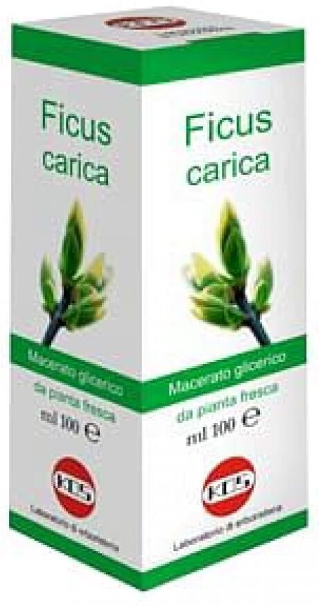 KOS Srl FICUS CARICA MG 100ML GTT