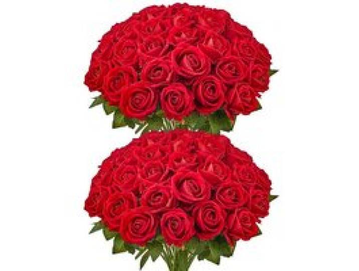 VEVOR Künstliche Blumen Rosen, 60 Stück Kunstblumen, Rote Gefälschte Rose mit Stielen, Schaumrosen für DIY Hochzeit Blumensträuße Braut Valentinstag Muttertag Zuhause Dekoration