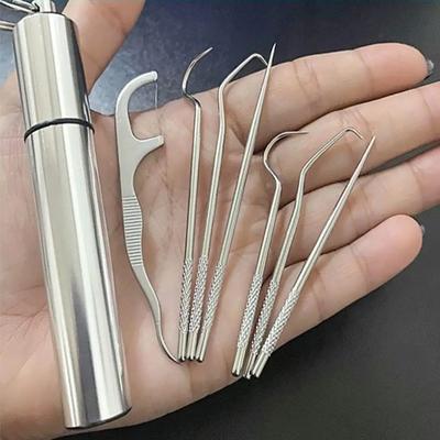 Uplifted Finds Stainless Steel Reusable Toothpick And Flossing Set Stainless Steel Reusable Toothpick And Flossing Set
