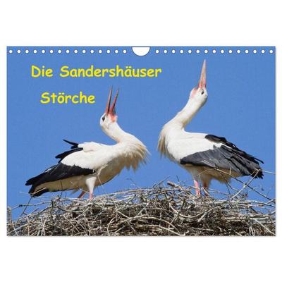 Die Sandershäuser Störche (Wandkalender 2026 DIN A4 quer), CALVENDO Monatskalender