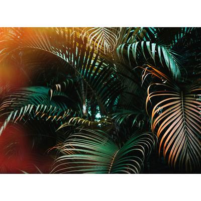 Fototapete LIVING WALLS "Designwalls Jungle Colour", grün (grün, braun), B:3,5m L:2,55m, Vlies, Tapeten, Vlies, Wand, Schräge, Decke