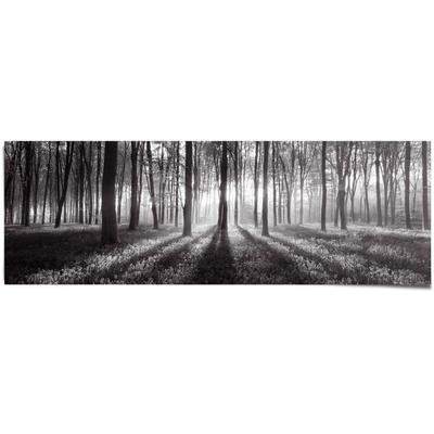 Poster REINDERS "Sonnenaufgang im Wald Schwarz-Weiß", schwarz (farbe bild(er): schwarz), B:158cm H:53cm, Papier, Bilder, Poster