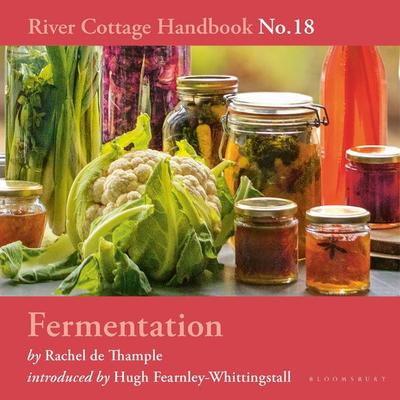 Fermentation - Rachel de Thample, Audio, 9781526677563