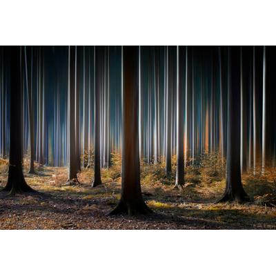 Fototapete PAPERMOON "Photo-Art CARSTEN MEYERDIERKS, MYSTISCHER WALD", bunt, B:4,5m L:2,8m, Vlies, Tapeten