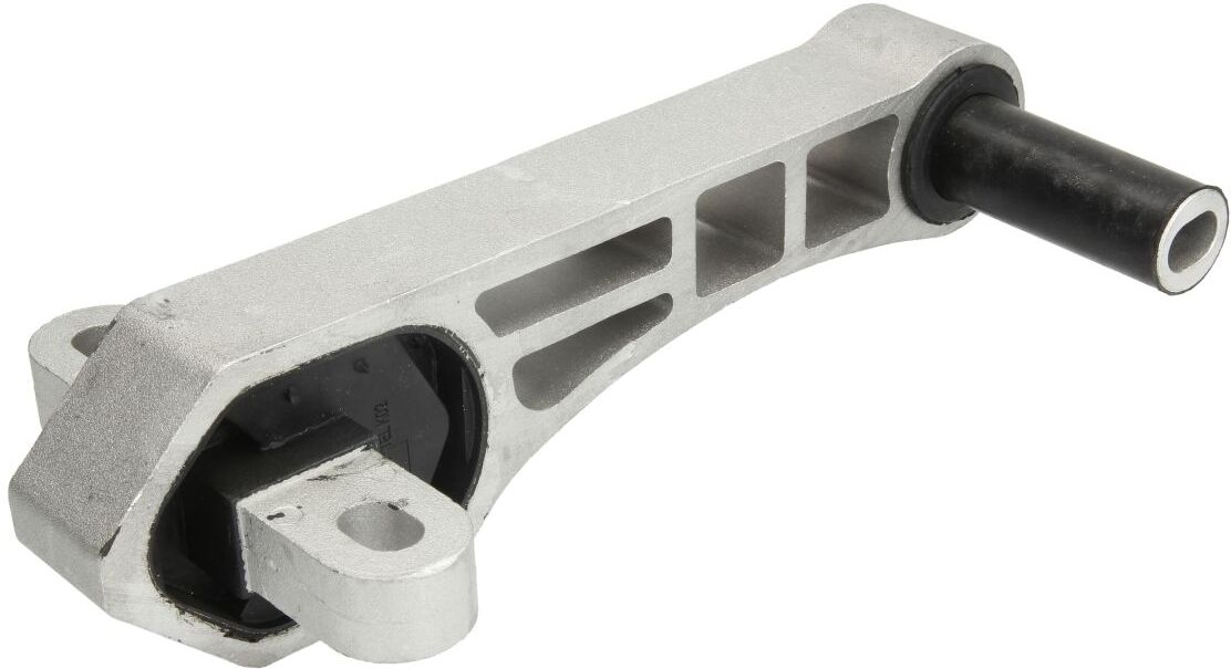 Reinhoch Supporto motore RH11-1057