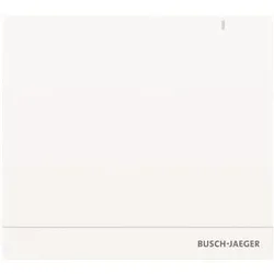 Busch-Jaeger System (867 Mbit/s), Access Point