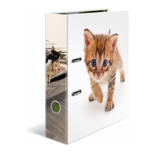 HERMA Ordner A4 Karton Katze
