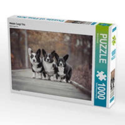 CALVENDO Puzzle Welsh Corgi Trio 1000 Teile Lege-Größe 64 x 48 cm Foto-Puzzle Bild von Maria Ahrens